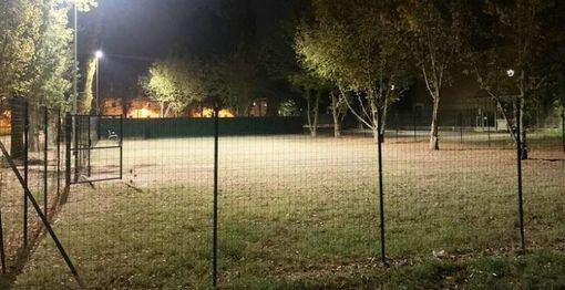 area cani illuminata area cani illuminata