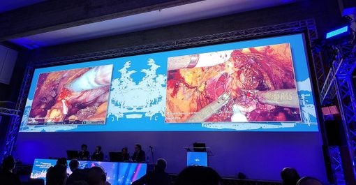 Dal meeting di Torino in anteprima mondiale la chirurgia urologica entra nel metaverso Dal meeting di Torino in anteprima mondiale la chirurgia urologica entra nel metaverso