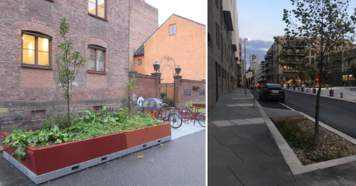 Torino, al via la rivoluzione verde: “Alberi al posto dei cassonetti dell’immondizia" Torino, al via la rivoluzione verde: “Alberi al posto dei cassonetti dell’immondizia"