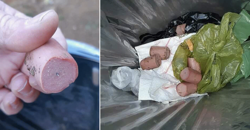 I bocconi con i chiodi ritrovati dai cittadini I bocconi con i chiodi ritrovati dai cittadini