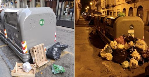 ecoisole e fototrappole ecoisole e fototrappole