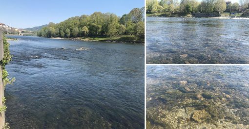 Coronavirus, il lockdown frena l’inquinamento: a Torino le acque del Po sono limpide come non mai [FOTO e VIDEO]
