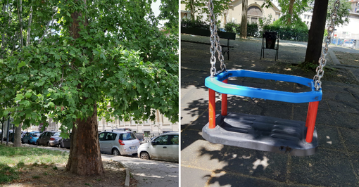 Giardini Allievo, i cittadini chiedono la riparazione dell'altalena e la potatura dell'albero