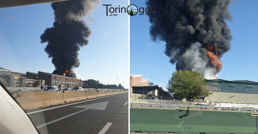 Incendio a Settimo Torinese, fiamme altissime: la colonna di fumo visibile da chilometri [FOTO]