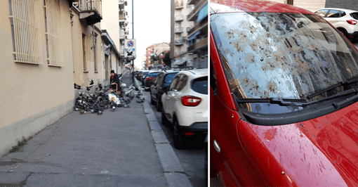 La Mary Poppins di Parella divide il quartiere: i residenti arrabbiati con l’anziana che sfama i piccioni La Mary Poppins di Parella divide il quartiere: i residenti arrabbiati con l’anziana che sfama i piccioni
