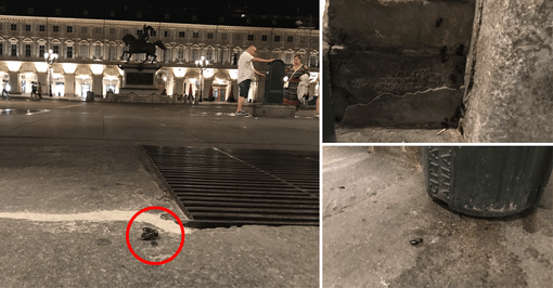 Sporcizia e scarafaggi nel "salotto di Torino": invasione di blatte nere in piazza San Carlo [VIDEO]