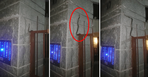 Foto e video presi da Verderosa Grazia, Gruppo Facebook &quot;sei di Borgo Vittoria Se&quot;