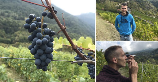La strada dei vigneti alpini fa tappa in Val Susa: “Qui noi giovani viticoltori vogliamo ripopolare la montagna” [VIDEO e FOTO]