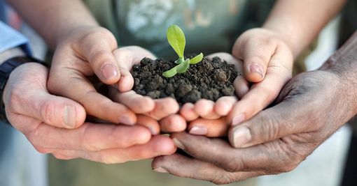 In calo la produzione industriale del Piemonte: l'agroalimentare è l’unico settore in crescita In calo la produzione industriale del Piemonte: l'agroalimentare è l’unico settore in crescita