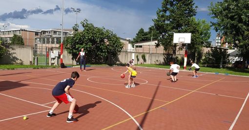 tam tam basket