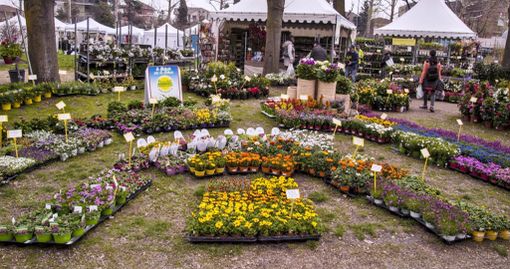A Carmagnola la 31esima edizione di “Ortoflora &amp; Natura”