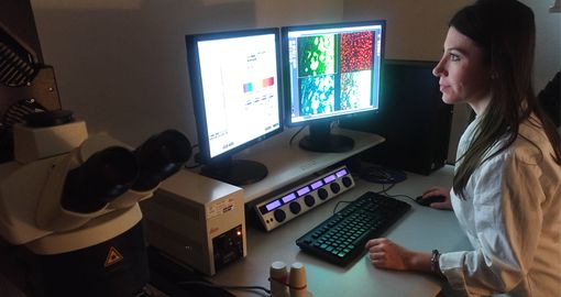 L'Università di Torino apre il bando per giovani ricercatori L'Università di Torino apre il bando per giovani ricercatori