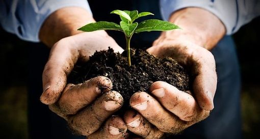 Confagricoltura Piemonte: &quot;Infortuni sul lavoro in calo. L'agricoltura in prima linea nella difesa dei suoi lavoratori”