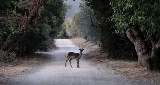 Foto Federica Cocciro Foto Federica Cocciro