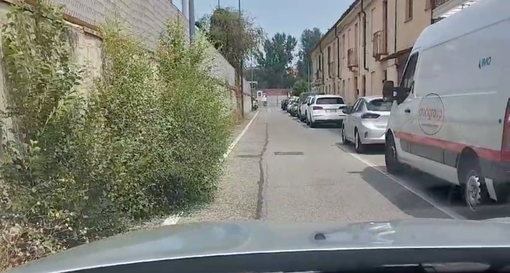 Erba alta sul passaggio pedonale e in strada delle Ghiacciaie non si passa più Erba alta sul passaggio pedonale e in strada delle Ghiacciaie non si passa più