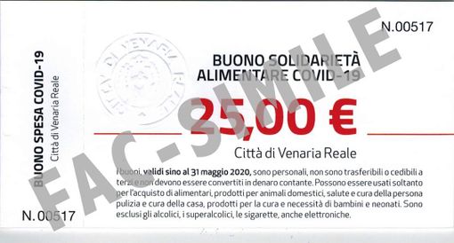 Buoni Spesa, a Venaria sono state accolte 854 domande per oltre 196mila euro Buoni Spesa, a Venaria sono state accolte 854 domande per oltre 196mila euro