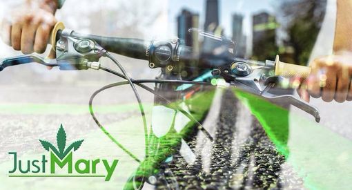 JustMary consegna regolarmente su Torino in totale sicurezza JustMary consegna regolarmente su Torino in totale sicurezza