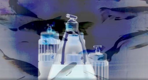 "Sense": performance live multisensoriale alla Palazzina di Caccia di Stupinigi "Sense": performance live multisensoriale alla Palazzina di Caccia di Stupinigi