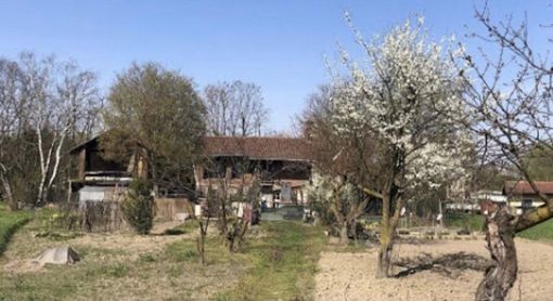 Il ranch delle donne Il ranch delle donne