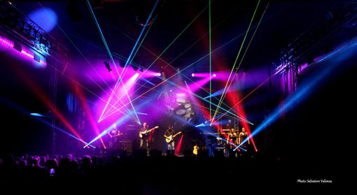 Tutti gli spettacoli e le mostre della Fiera "speciale e diffusa" del Peperone di Carmagnola Tutti gli spettacoli e le mostre della Fiera "speciale e diffusa" del Peperone di Carmagnola