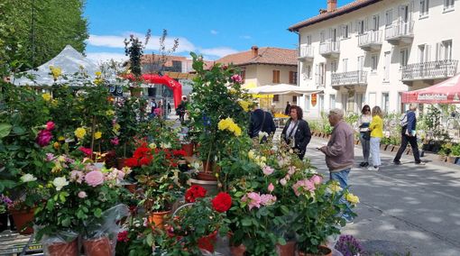 (Foto di repertorio) (Foto di repertorio)