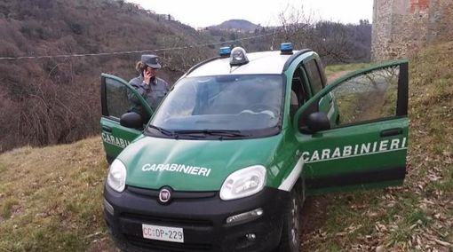 I carabinieri della Forestale avvertono: &quot;Nel 2022 boom di incendi, aumenta la pesca abusiva&quot;