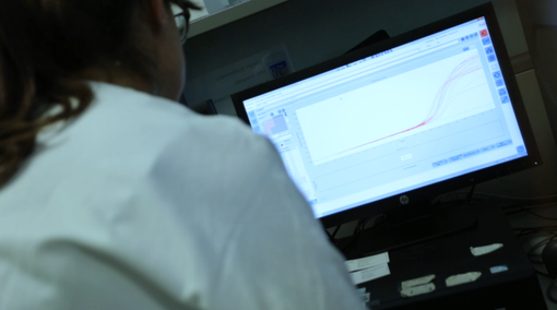 Coronavirus, oggi nessun decesso in Piemonte. Scendono a sei i ricoverati in terapia intensiva Coronavirus, oggi nessun decesso in Piemonte. Scendono a sei i ricoverati in terapia intensiva