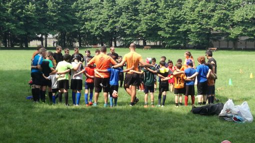 Un'invasione arancione al Parco della Certosa di Collegno (VIDEO) Un'invasione arancione al Parco della Certosa di Collegno (VIDEO)