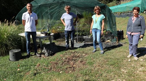 Casalborgone: un branco di cinghiali devasta un vivaio e arriva nelle vicinanze di un'abitazione Casalborgone: un branco di cinghiali devasta un vivaio e arriva nelle vicinanze di un'abitazione