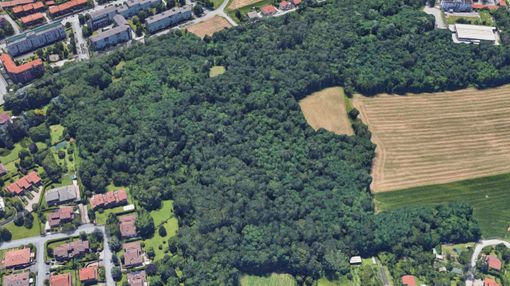 Il M5S Alpignano promuove una campagna per valorizzare il verde pubblico