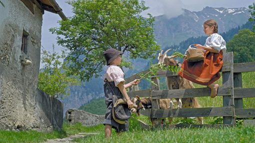 La sorpresa dell'estate? Heidi ha preso casa a Pinerolo La sorpresa dell'estate? Heidi ha preso casa a Pinerolo