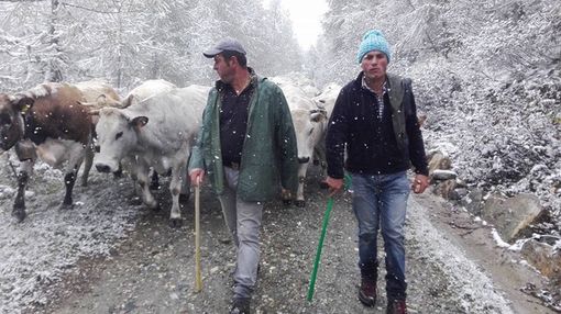 Dopo il successo di Torino (e non solo), la fassoneria arriva a Monza