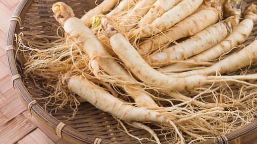 Cure naturali: tutte le proprietà del Ginseng