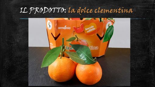 Felici &amp; Veloci, la nuova ricetta AutograFata di Fata Zuccchina: la clementina donata