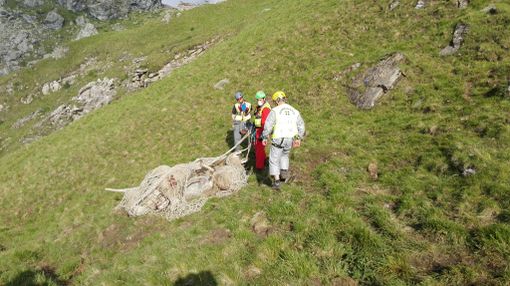 Susa, rimosse decine di carcasse di pecore folgorate da un fulmine