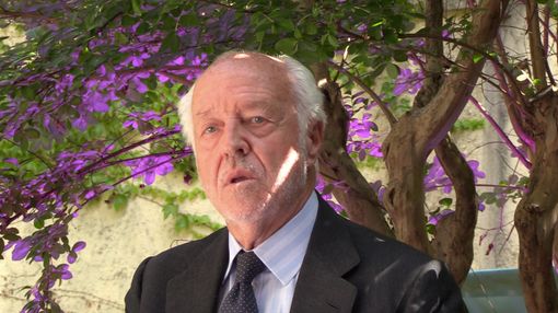 viso