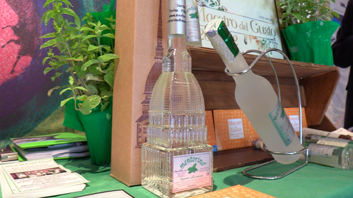 Mentorino, la risposta torinese al Limoncello