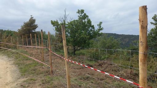 reti contenitive per peste suina reti contenitive per peste suina