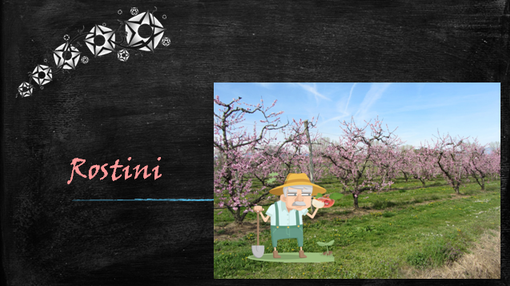 Felici & Veloci, la nuova Ricetta AutograFATA di Fata Zucchina. Oggi prepariamo i rostini Felici & Veloci, la nuova Ricetta AutograFATA di Fata Zucchina. Oggi prepariamo i rostini