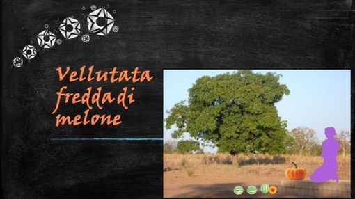 Felici e Veloci, la nuova ricetta autograFATA di Fata Zucchina: vellutata di melone