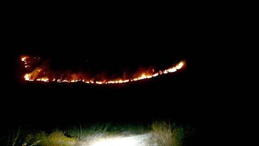 Incendio boschivo nella zona di Pian Frollero tra Val Pellice e Valle Po