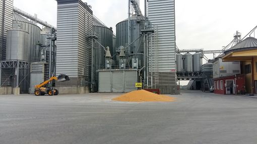 La Vigonese: «La campagna 2019 registra un leggero calo nella produzione di mais»