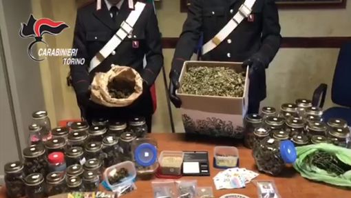 Vigone, la famiglia coltiva droga e il figlio minorenne fa il “fattorino” in bicicletta (VIDEO)