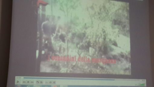 Sfruttavano prostitute e coi guadagni coltivavano marijuana: 10 arrestati Sfruttavano prostitute e coi guadagni coltivavano marijuana: 10 arrestati
