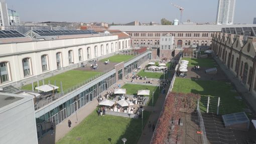 Torino si gode la sua vigna urbana