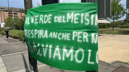 Meisino, presidio davanti al tribunale: “Fermate lo scempio” Meisino, presidio davanti al tribunale: “Fermate lo scempio”