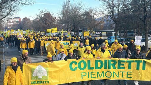 Mercosur, Coldiretti: "Consumatori torinesi a rischio per prodotti alimentari ottenuti senza rispettare la salute, l’ambiente e i diritti dei lavoratori"