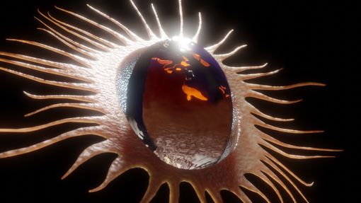 Artissima, Rebeca Romero è l’artista vincitrice della quinta edizione dell’OGR Award