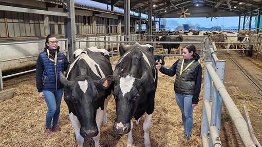 Nel 2024 meno aziende agricole nel torinese. Coldiretti: "Criminalizzazione agricoltura mina produzione cibo" Nel 2024 meno aziende agricole nel torinese. Coldiretti: "Criminalizzazione agricoltura mina produzione cibo"