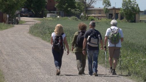 Aprile, maggio e ottobre: l'associazione Nordic Walking Andrate propone 3 escursioni